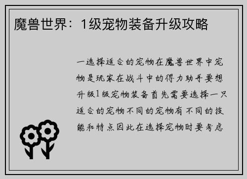 魔兽世界：1级宠物装备升级攻略